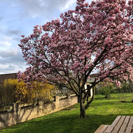 Panzió Parc De La Charmille