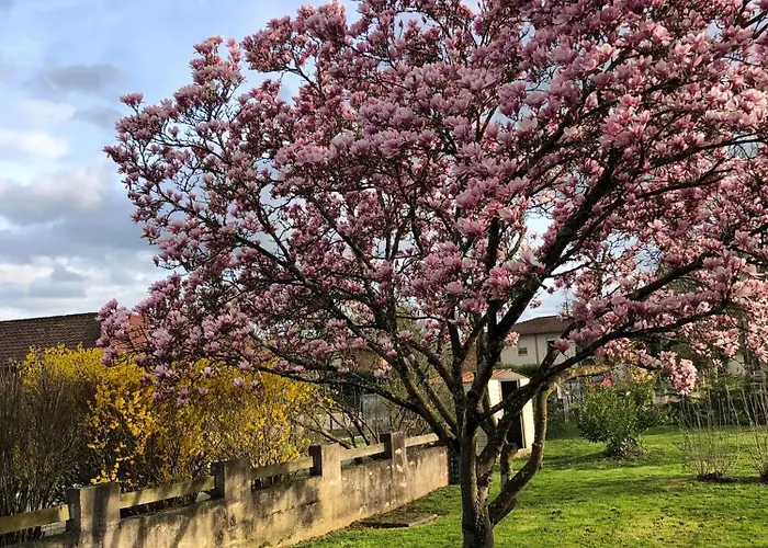 Panzió Parc De La Charmille