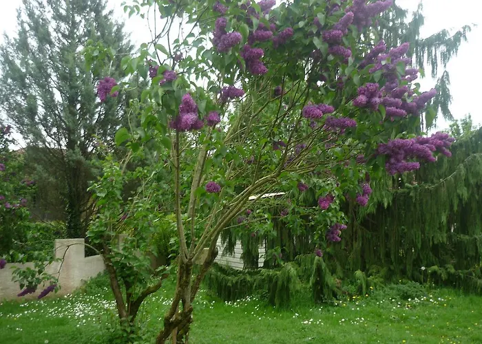 Panzió Parc De La Charmille